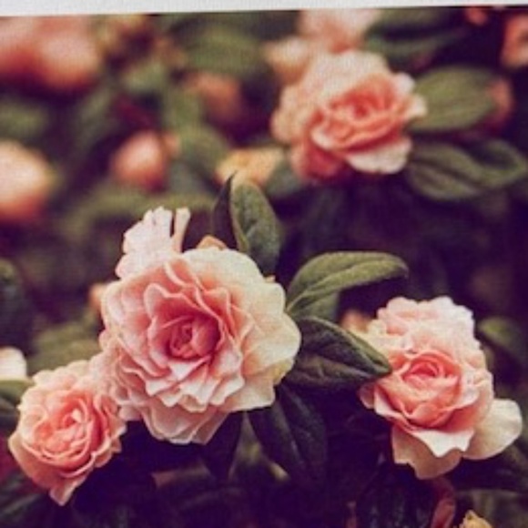 ~Welcome to my Closet~ - Picture 5 of 15